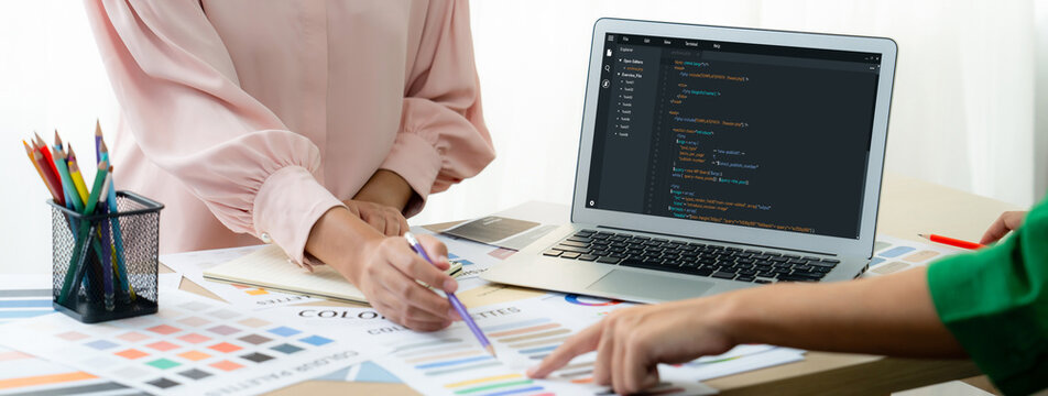 Software development programming on computer screen for brisk application and program coding