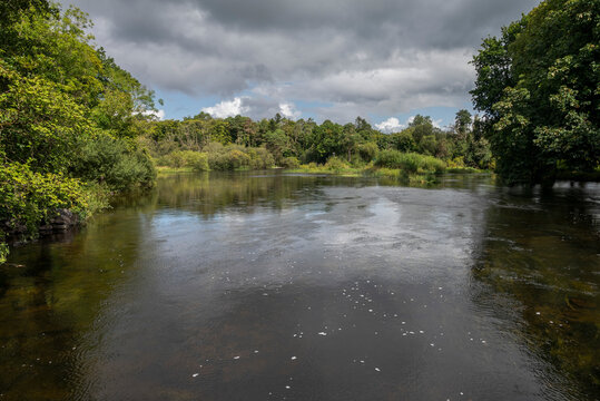 The River Cong and the forest of Cong near the locality of Cong, Ireland, with calm waters reflecting the overcast sky and dense, lush greenery on both sides
