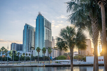 Fototapeta premium Tampa, Florida