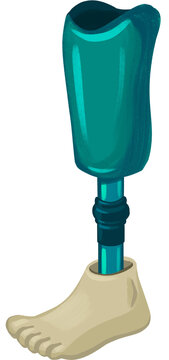 Prosthetic Leg Below Knee
