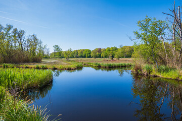 Obraz premium Peaceful river landscape with green trees and reflections under clear blue sky