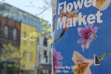 Naklejka premium paper poster in Toronto (Flower Market) on Queen St W