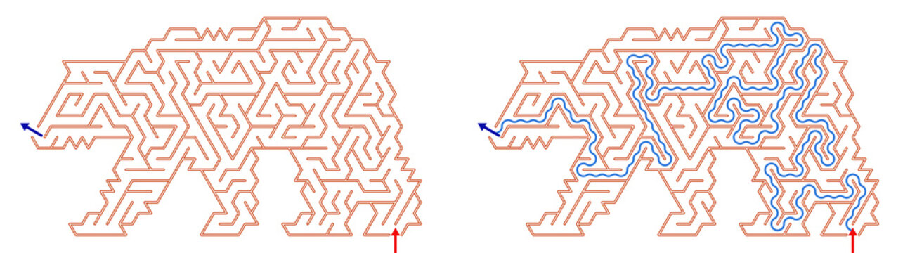 Bear-shaped maze with solution highlighted in blue lines  