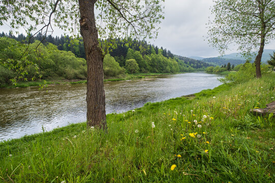 Spring picturesque river band view. Mountains scenery view behind (Stryi river near Skhidnytsya village, Ukraine.)
