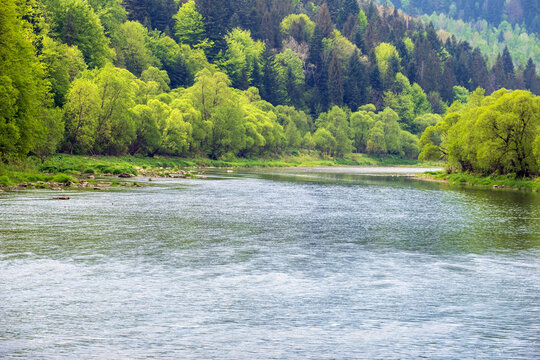 Spring picturesque river band view. Mountains scenery view behind (Stryi river near Skhidnytsya village, Ukraine.)