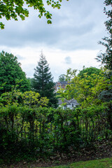 Fototapeta premium Quiet Urban Garden Escape