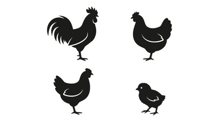 chicken silhouettes on white background © Imagevector