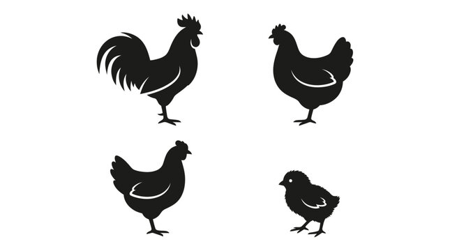 chicken silhouettes on white background