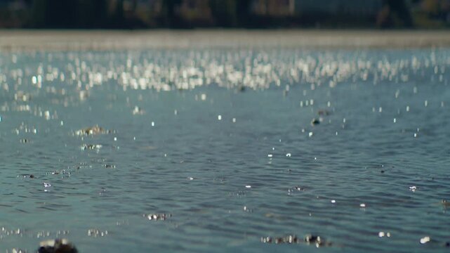 Sunlight glinting off calm sea waves on a shallow tidal flat 