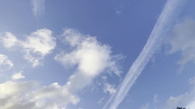 Jet contrail over green trees panning