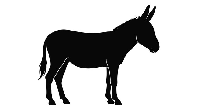 donkey silhouette on white background