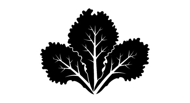 Minimal black silhouette icon, simple flat vector, bold black shape, no, no shading fresh green lettuce leaves icon, vector illustration of leafy vegetable on a, flat icon style