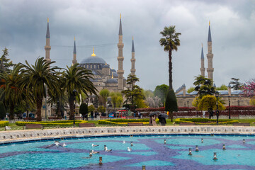 Naklejka premium Blue Mosque Istanbul
