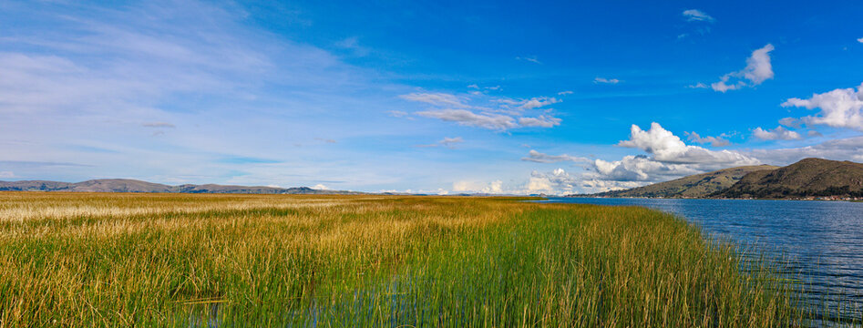 Lake Titicaca and totora reed beds on the Uros Islands, Puno (Peru)