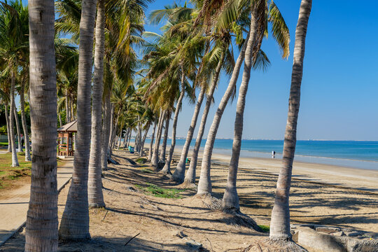 Scenic beach park in Muscat Oman featuring walkway, tropical palms and relaxing sea view at Al Qurum Beach