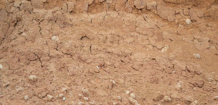  Close-up of cracked dry clay soil texture affected by drought and erosion