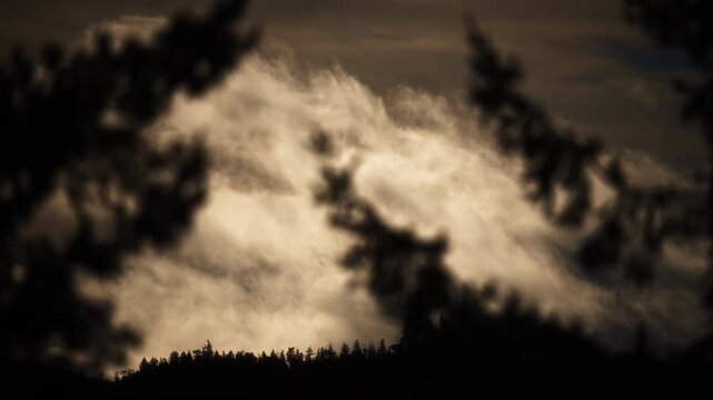Thick stormy clouds moving behind the tree line at sunrise