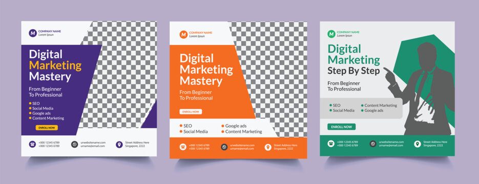Digital marketing mastery step by step set education