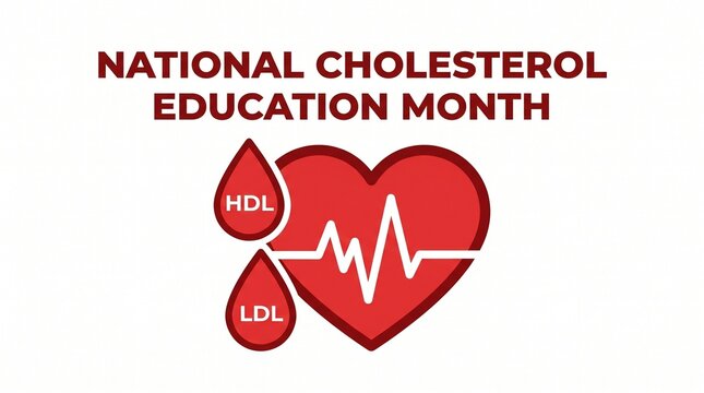 National Cholesterol Education Month banner, heart health awareness illustration with HDL and LDL blood drops, medical cardiology concept