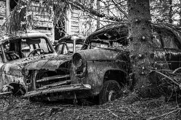 Fototapeta premium Car cemetery