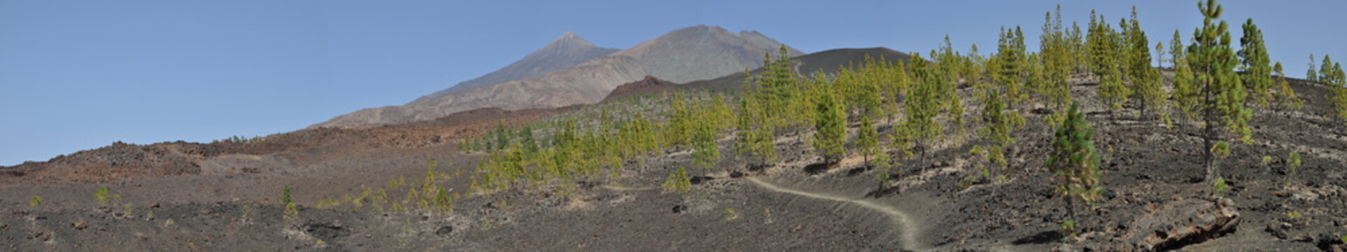 Pico del Teide und Pico Viejo, Teneriffa