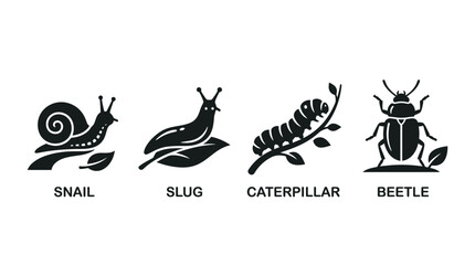 set of insect and mollusk icons in black silhouette © Imagevector