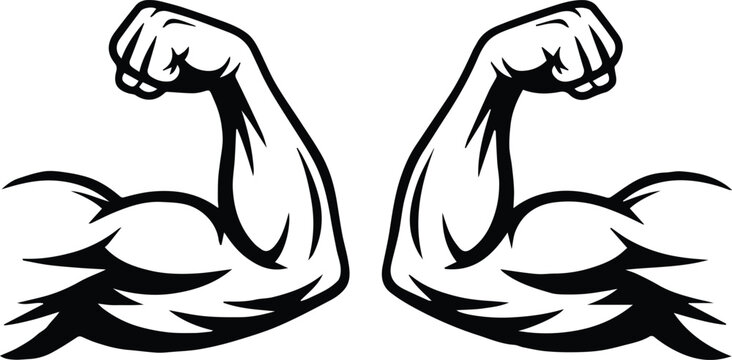 biceps vector illustration two flexed arms facing each other