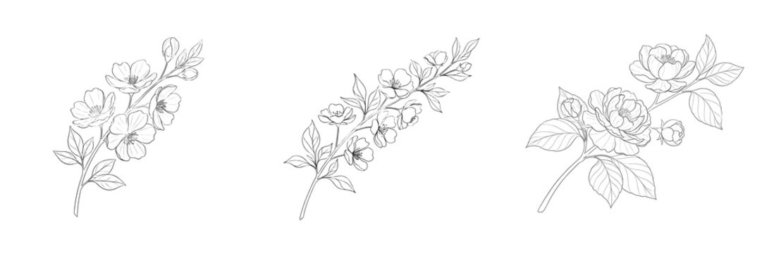 Set and collection of delicate minimalist black line art floral branch with blooming spring flower blossoms isolated on white transparent png background