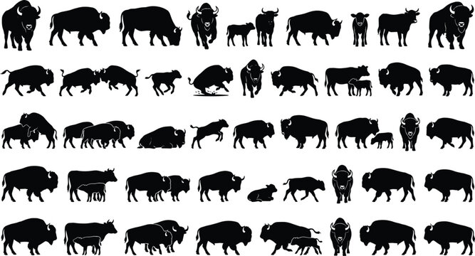 Bison silhouette collection with standing grazing running and family wildlife poses isolated vector animal set