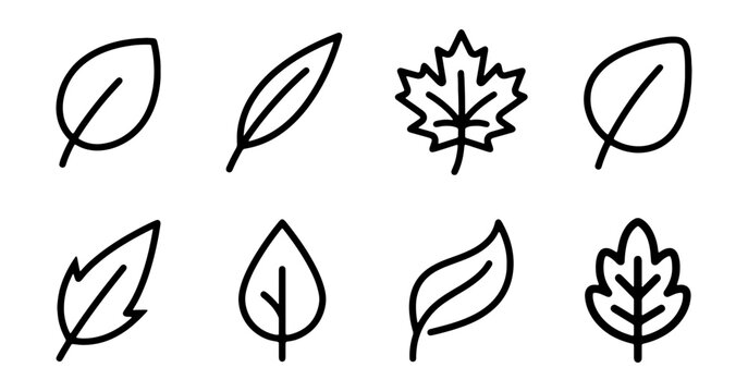 Simple Leaf Icons Set, Nature Elements Vector Collection, Organic Shapes