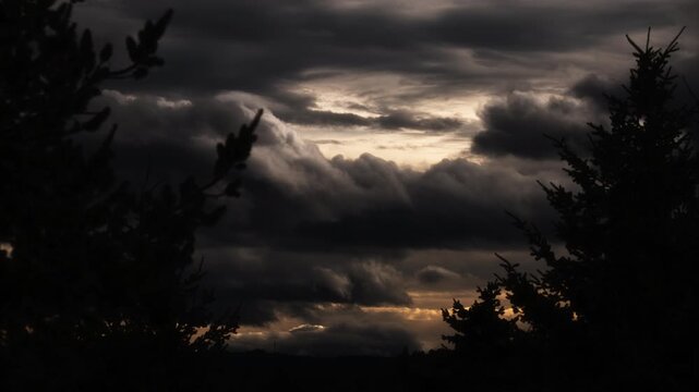 Dramatic golden sunrise clouds over a dark forest silhouette