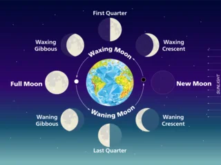 Moon phases cycle infographic with Earth and lunar phases diagram. Educational astronomy vector illustration showing waxing and waning stages, new moon, full moon and quarter phases in space © brichuas