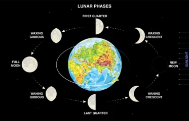 Diagram of lunar phases around Earth in starry space. Educational astronomy infographic showing waxing and waning moon cycle with sunlight direction. Vector illustration © brichuas