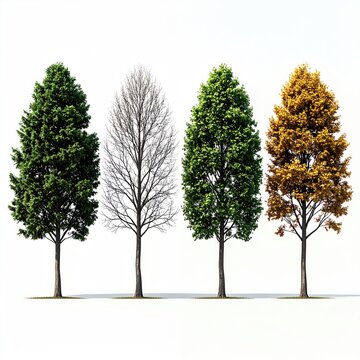 Four trees display seasonal changes lush green, bare branches, vibrant green, golden autumn