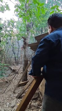 Young man using bypass lopper shears to prune green soursop tree branches