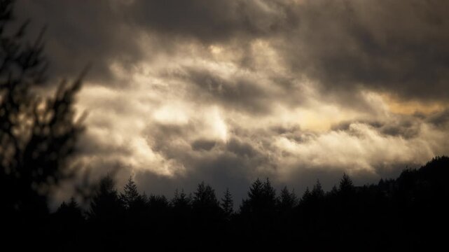 Stormy white and grey clouds moving in the morning sky above trees
