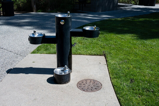 Multiple level drinking fountain outdoor in a pet friendly public park, including a pet station for dogs to get a drink of water while playing in the park
