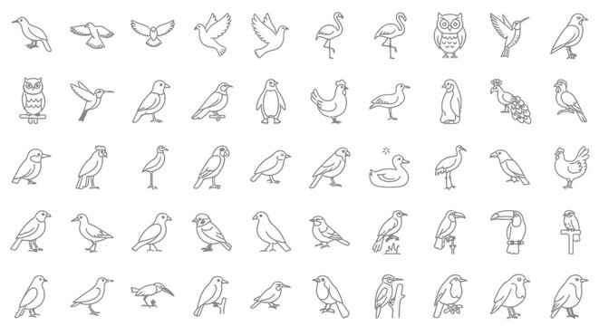 Collection of Various Bird Silhouettes.