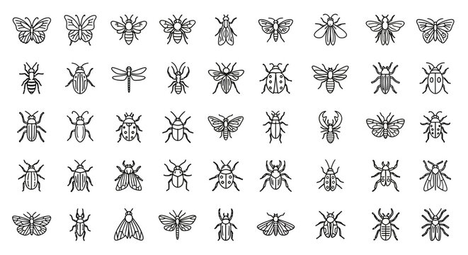 Collection of Various Insect Illustrations in Black and White.