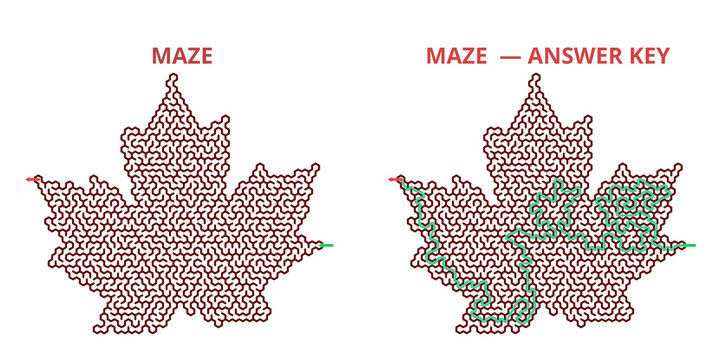 Leaf-shaped maze design with answer key illustration  