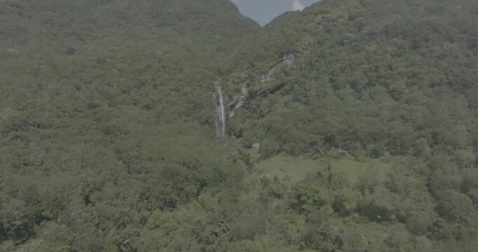 Cinematic aerial drone shot of epic tropical waterfall hidden in lush green jungle forest, misty waterfall in canyon, Bali, Indonesia, d-log b-roll.