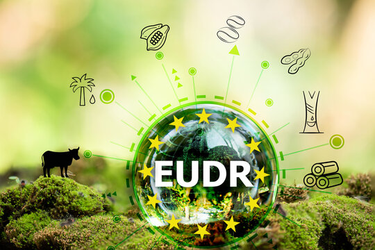 EUDR on crystal globe and icon on natural background. Regulations on deforestation-free products concept.