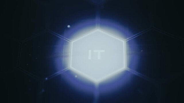 IT text centered within the hexagon suggesting focus on information technology