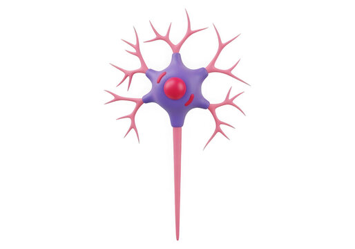 Isolated neuron cell with red dendrites and blue nucleus isolated on transparent background