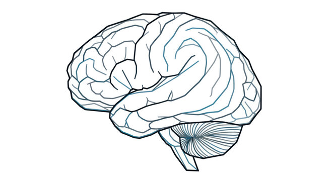 Minimalist line art illustration of a human brain isolated on white