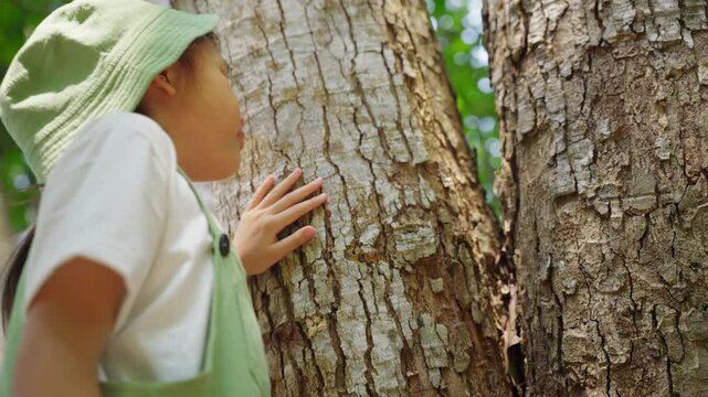 Young Asian girl touching tree bark in forest, child connecting with nature, environmental conservation awareness sustainability education for children, ecology learning, forest bathing activity.