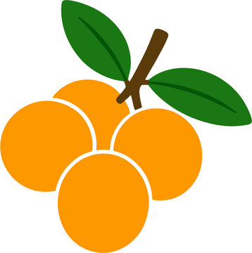 Caja Tropical Fruit Flat Vector Illustration