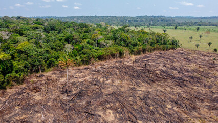 APUI, AMAZONAS, BRAZIL - OCTOBER 3, 2020: Severe destruction and charred forest land after an intense wildfire in the Amazon basin at Apuí Amazonas do Brasil. © rafael