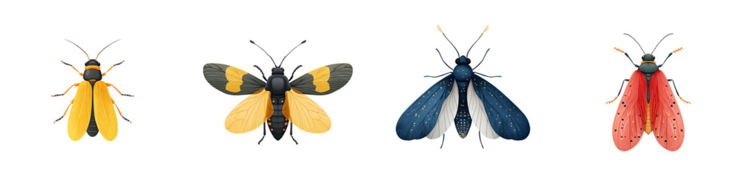 Moth Illustration Set on White Background