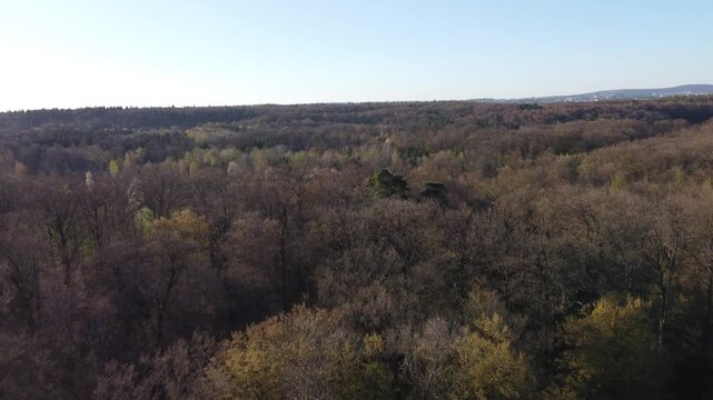 &uuml;ber dem wald